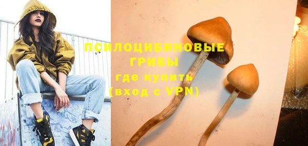 стафф Аркадак