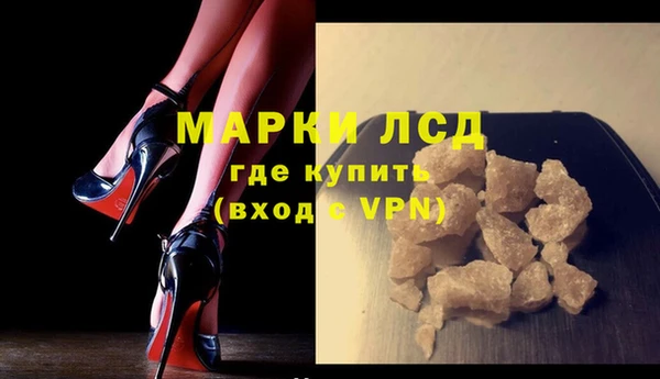 стафф Аркадак