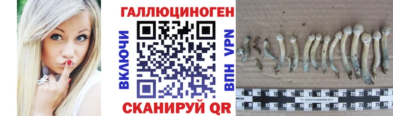 Псилоцибиновые грибы ЛСД  darknet Telegram  Малоархангельск 